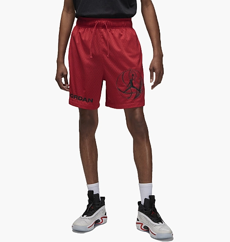 Шорты Jordan Dri-FIT Sport BC HBR Mesh M, фото №1