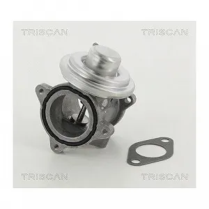 Клапан EGR TRISCAN 8813 29011 AUDI SEAT SKODA VW synthetic.ua - Фото 1