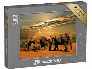 Пазл puzzleYOU Safari, Elephants, Animals in Savannah & Desert Puzzle Collection Стадо африканских слонов, национальный парк Эддо-Элефант, ЮАР 2000 элементов - Фото 1
