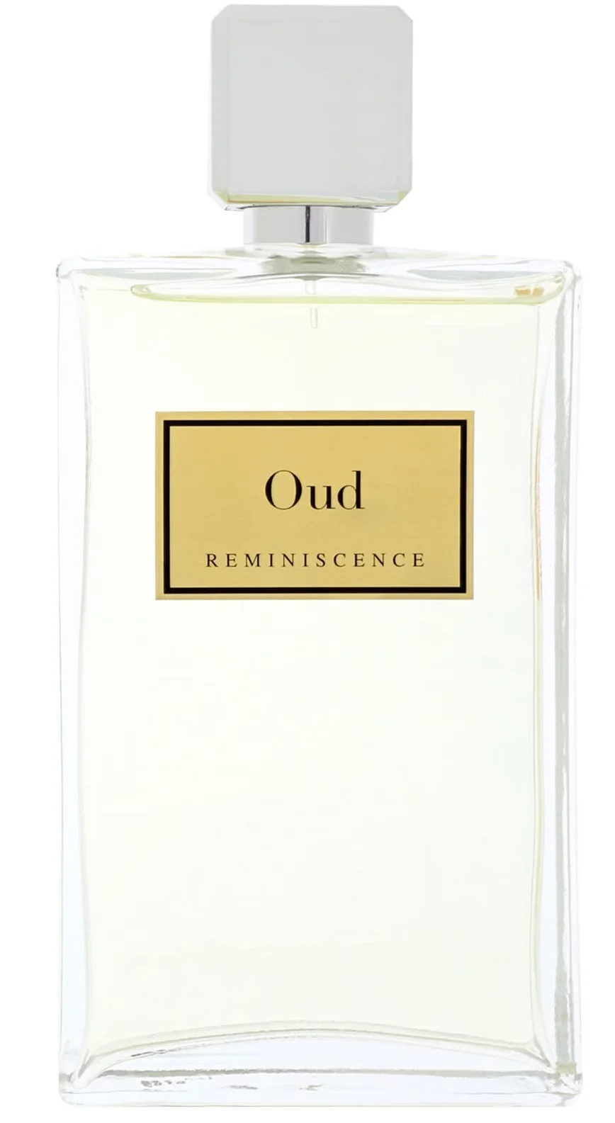 Парфюмированная вода Reminiscence Oud 100 мл., фото №1