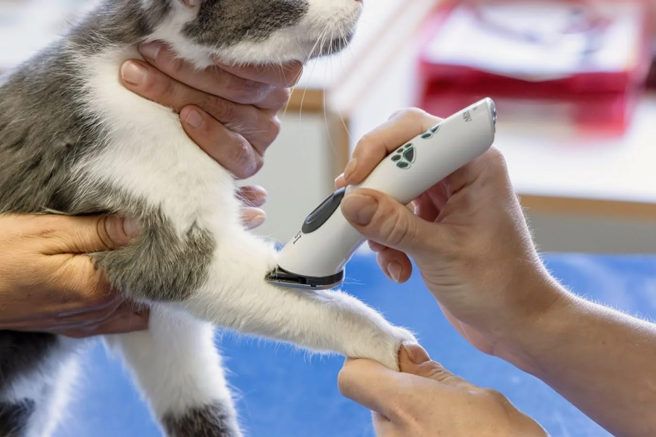 Машинка для стрижки тварин Kerbl Aesculap Isis GT608 Сіра, фото №4 Машинка для стрижки тварин Kerbl Aesculap Isis GT608 Сіра, фото №4