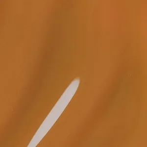 Гель-лак Mylee Toffee Apple, 10 мл synthetic.ua - Фото 1