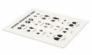 Постер Iris Luckhaus Traces of Native Animals II 30 x 40 см Глянцевый synthetic.ua - Фото 1