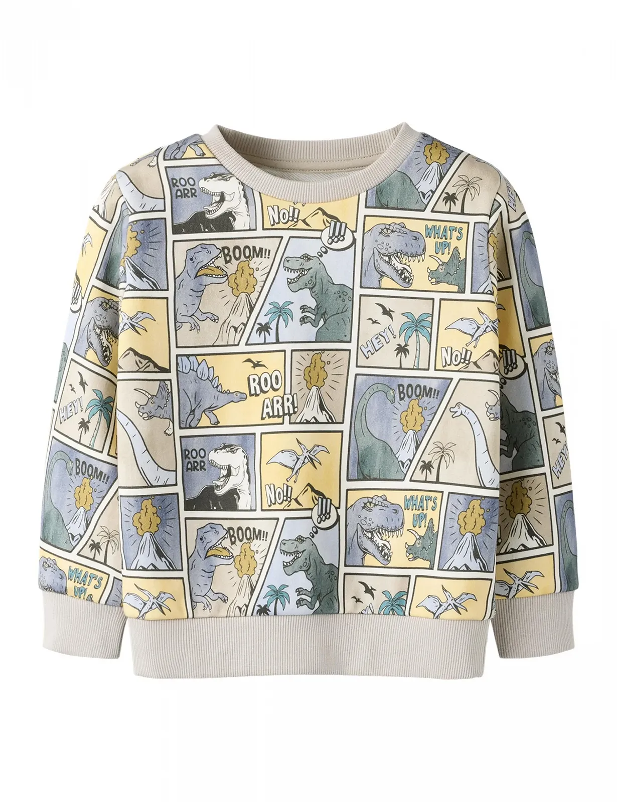 Толстовка Name IT Nmmsikalas LS Nreg SWE Bru, фото №1