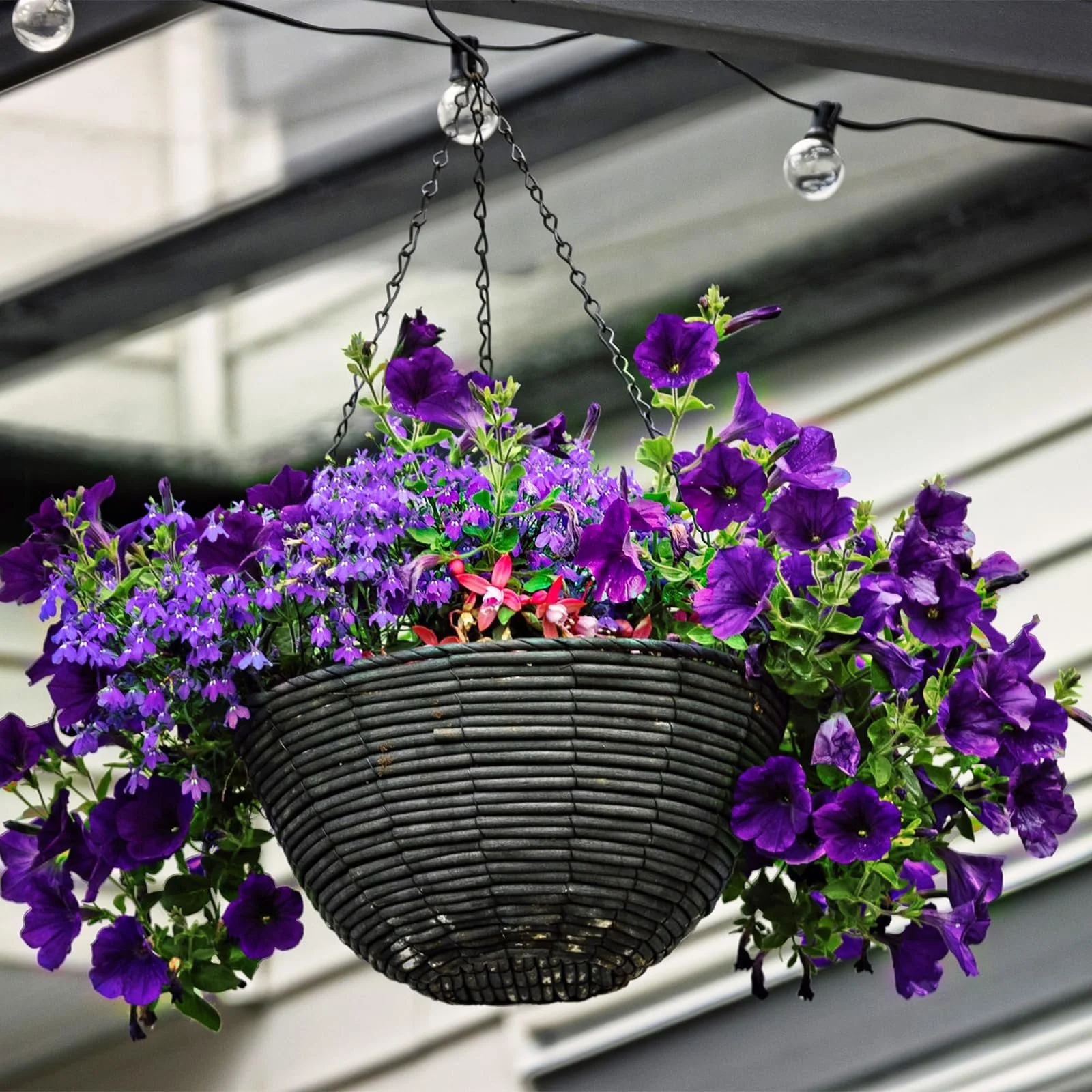 Ланцюги для підвісних кошиків 6 шт. 50 см металеві з гачками, фото №4