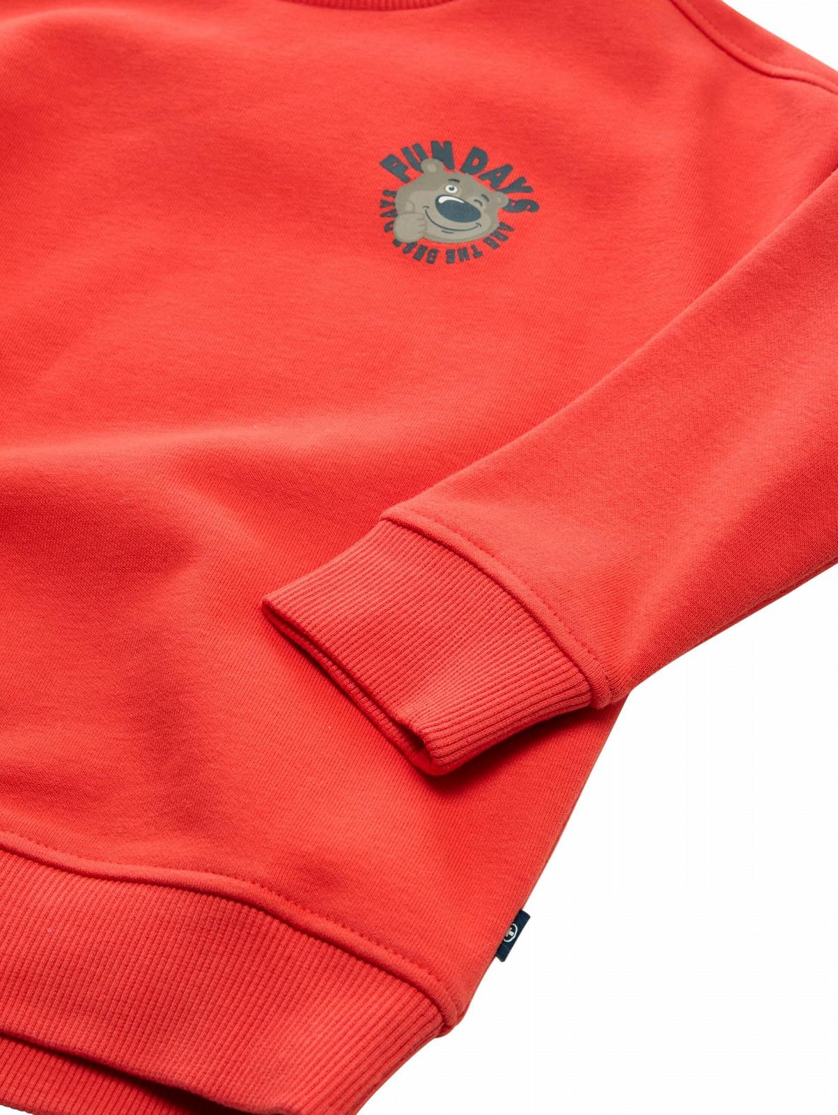 Толстовка Tom Tailor для мальчиков, фото №3