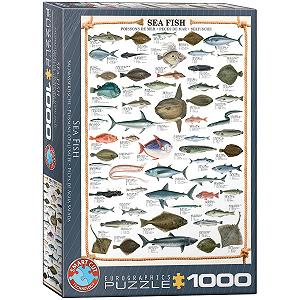 Пазл Eurographics Sea Fish 1000 элементов - Фото 1