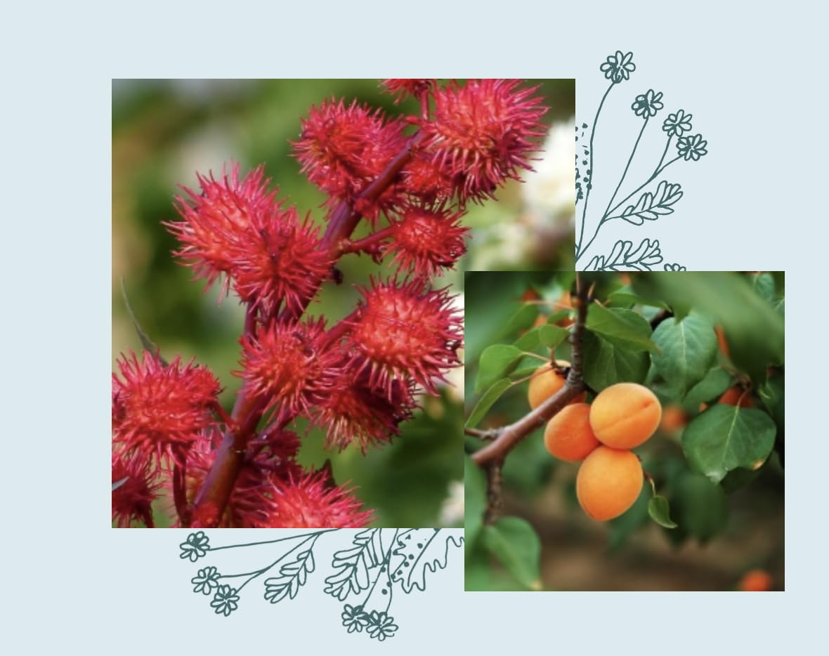 Шампунь Officina Naturae CURLY WASH для кучерявого, дуже кучерявого або ультра-швидкого волосся, з живильними властивостями органічного веганського кондиціонера, 200 мл, фото №5