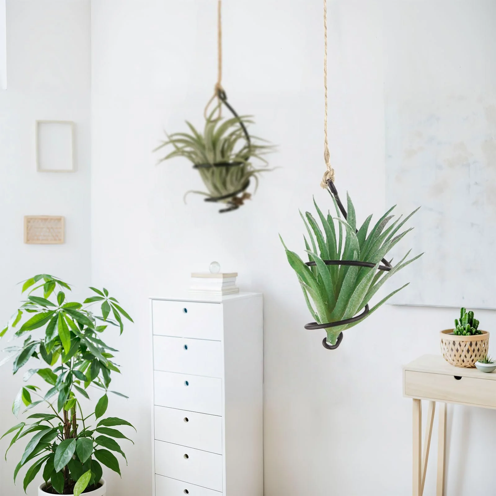 Набор подвесных держателей для воздушных растений 6 шт. с джутовыми веревками, фото №7 Набор подвесных держателей для воздушных растений 6 шт. с джутовыми веревками, фото №7