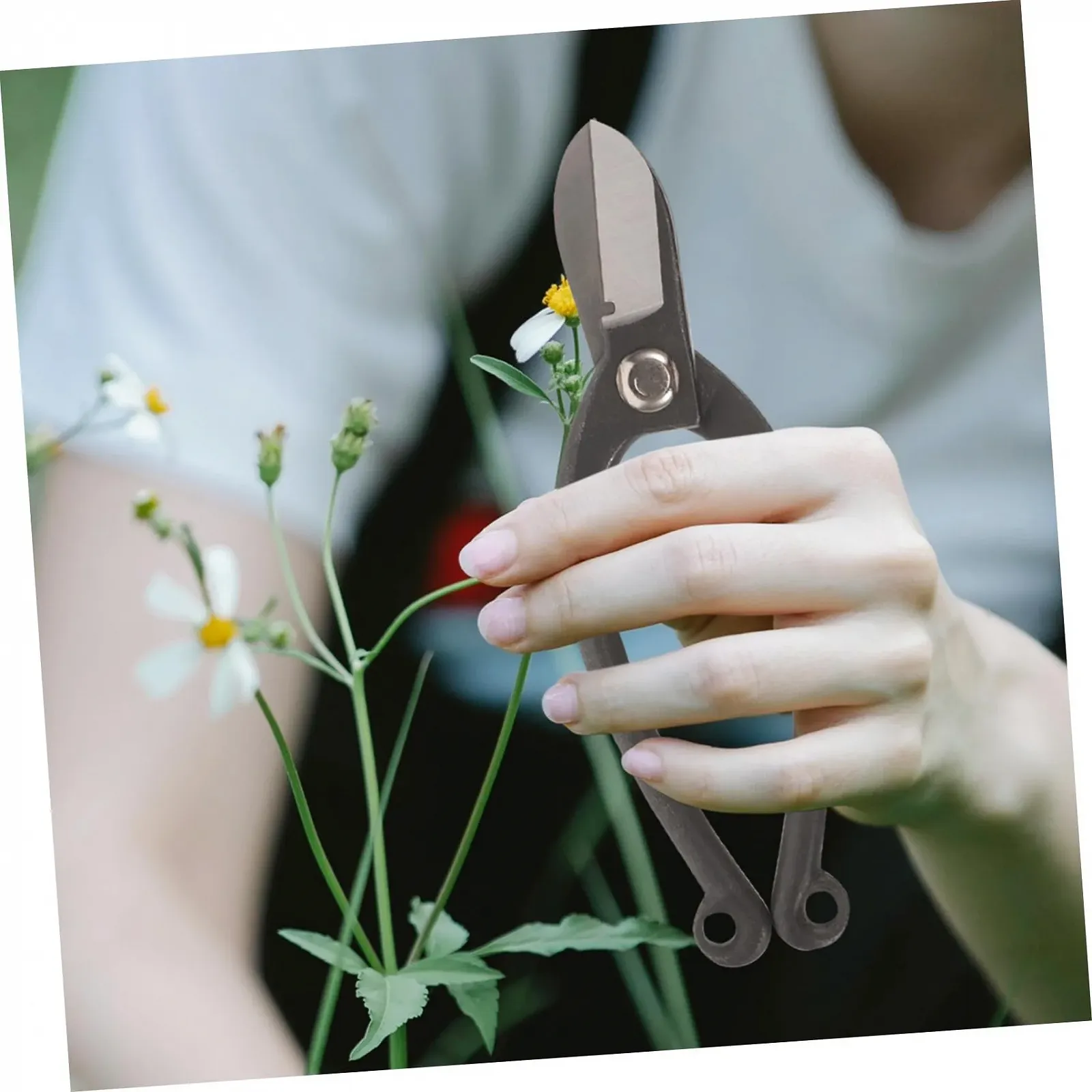 Секатор Happyyami Bypass Steel Чорний, фото №6