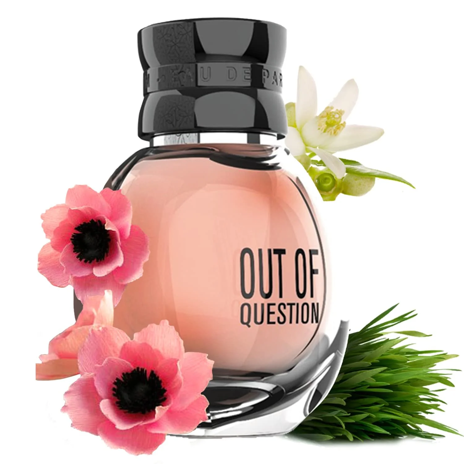 Парфюмированная вода Omerta Out of Question 100 мл, фото №4 Парфюмированная вода Omerta Out of Question 100 мл, фото №4