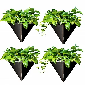 Купить Настенные кашпо LaLaGreen 4 Pack 12" с автополивом Geometric Black - Фото 1 Настенные кашпо LaLaGreen 4 Pack 12" с автополивом Geometric Black - Фото 1