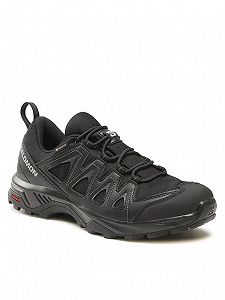 Черевики X BRAZE GTX L47180400 SALOMON  Чорний 44.5 - Фото 1