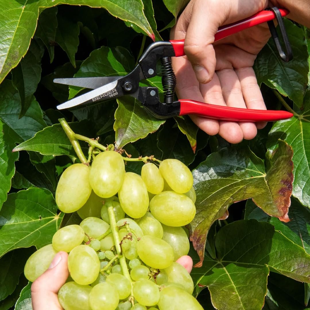 Ножницы Berger 1600 19x5x2 см Красный, фото №7 Ножницы Berger 1600 19x5x2 см Красный, фото №7