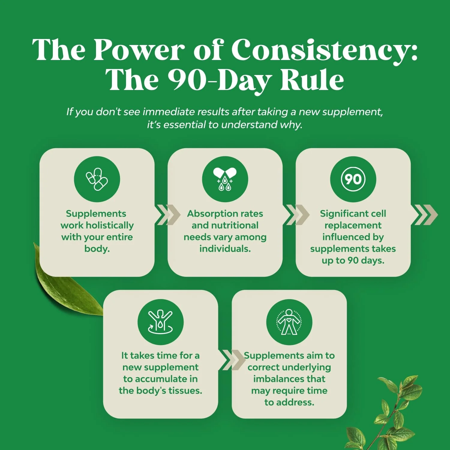 Капсули Екстракту Со Пальметто Pure - Добавка для покращення росту волосся, фото №8 Капсули Екстракту Со Пальметто Pure - Добавка для покращення росту волосся, фото №8