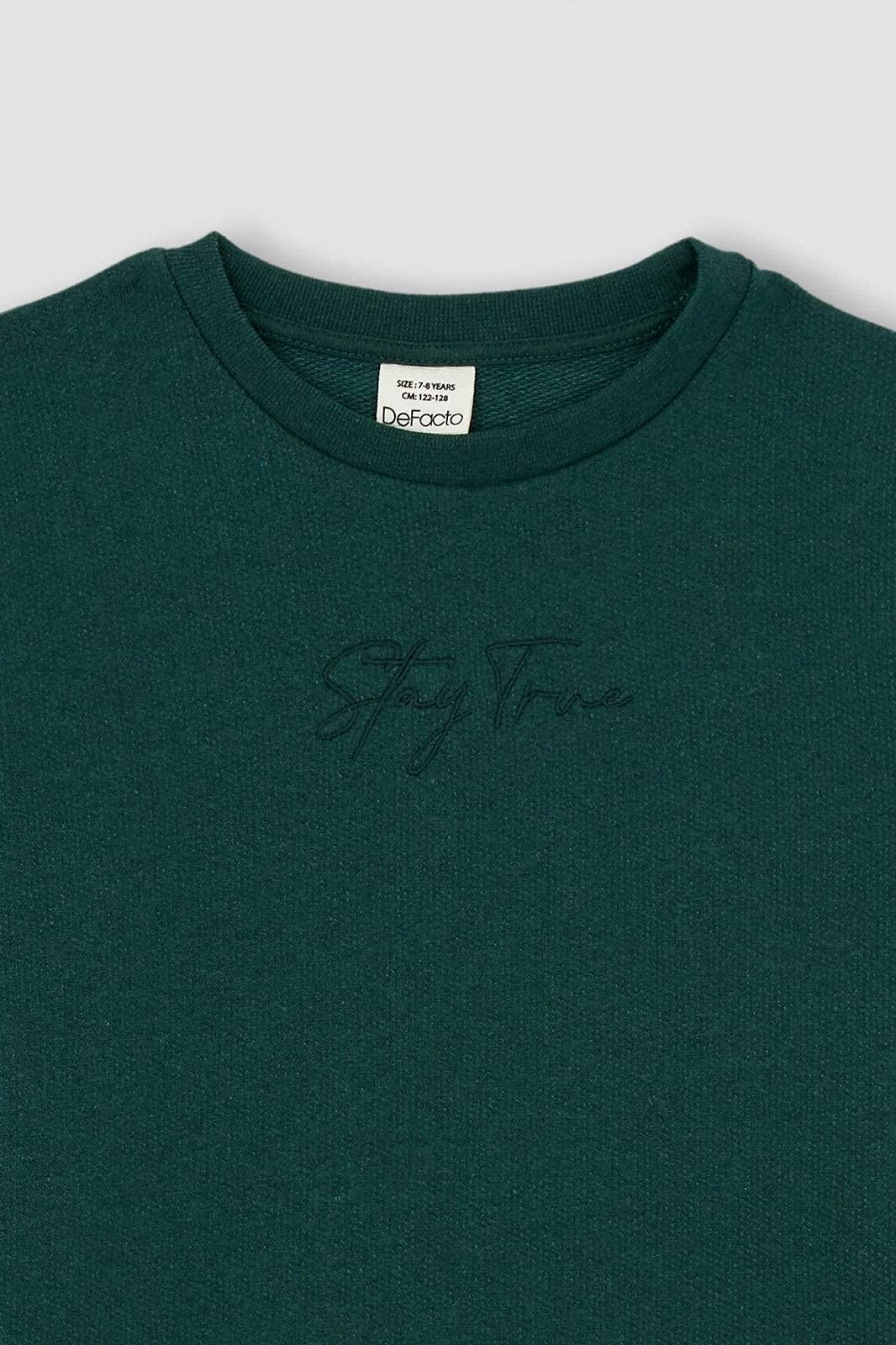 Толстовка DeFacto для хлопчиків, фото №2