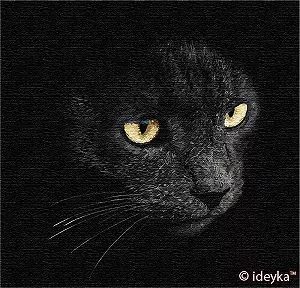 KHO4204 Картина для малювання за номерами Погляд хижака Сергій Полушко Без коробки - Фото 1