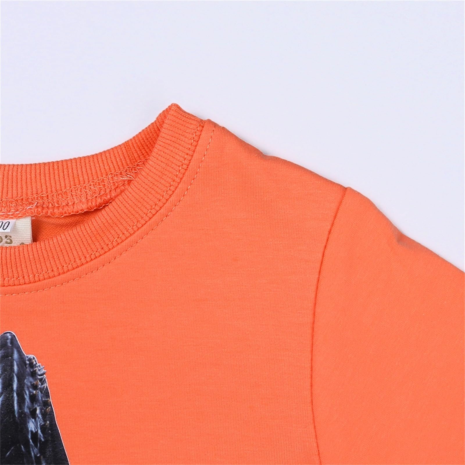 Світшот Generisch Дитячий для хлопчиків Унісекс, фото №6