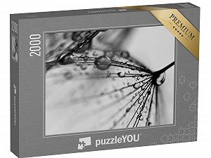 Пазл puzzleYOU Photo Art Abstract Dandelion Black and White 2000 деталей - Фото 1