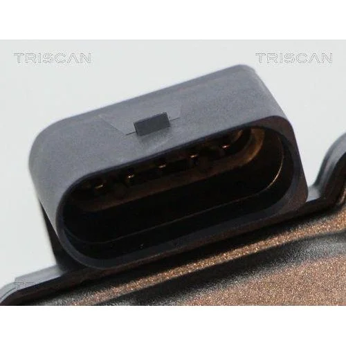 Клапан EGR TRISCAN 8813 29316 для AUDI, фото №2