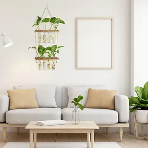 Настенная ваза для размножения растений, 2-ярусные synthetic.ua - Фото 1