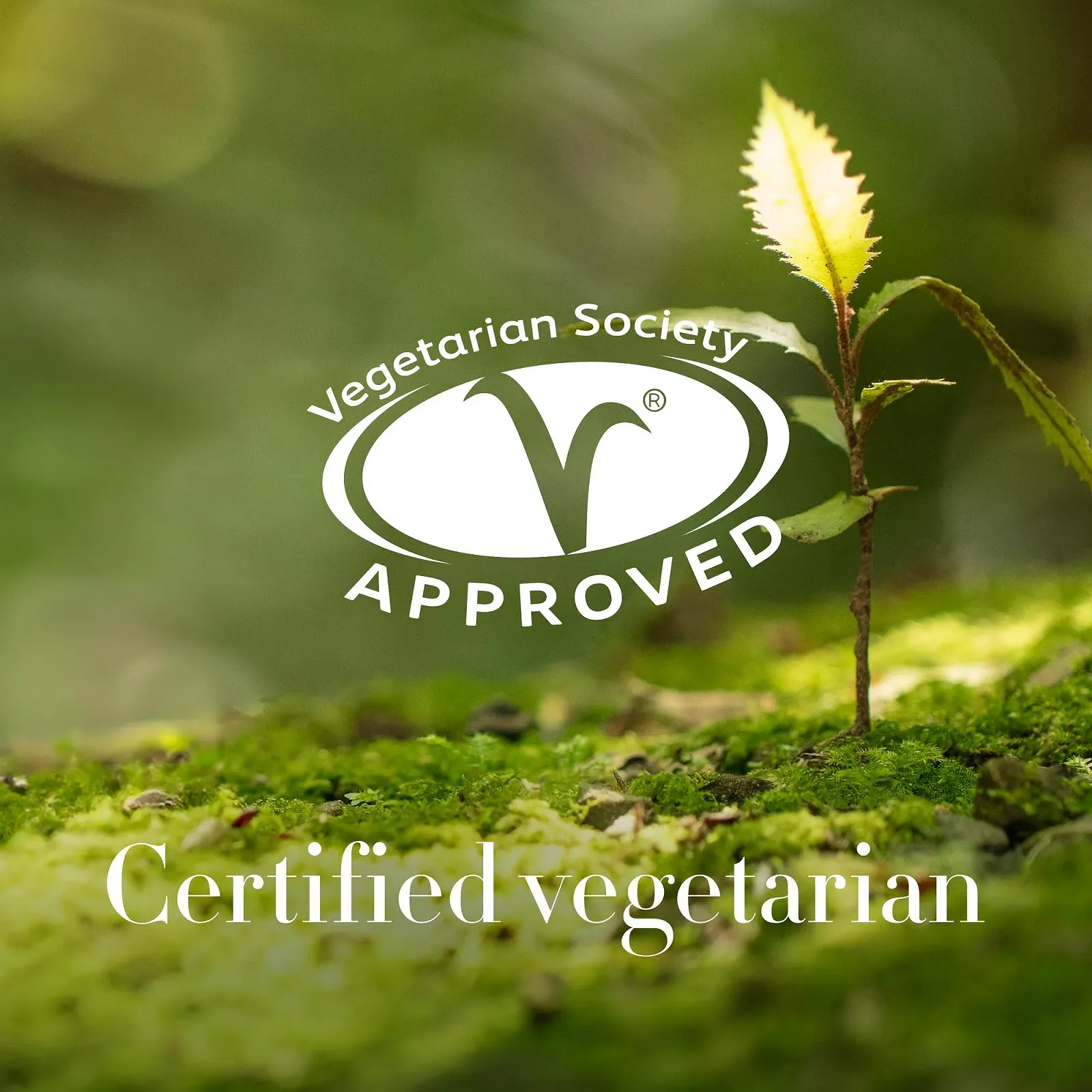 Маска для обличчя Antipodes Aura Manuka Honey, фото №4