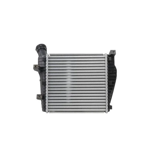 Інтеркулер HELLA 8ML 366 340-261 для AUDI PORSCHE VW CUPRA, правий, фото №3