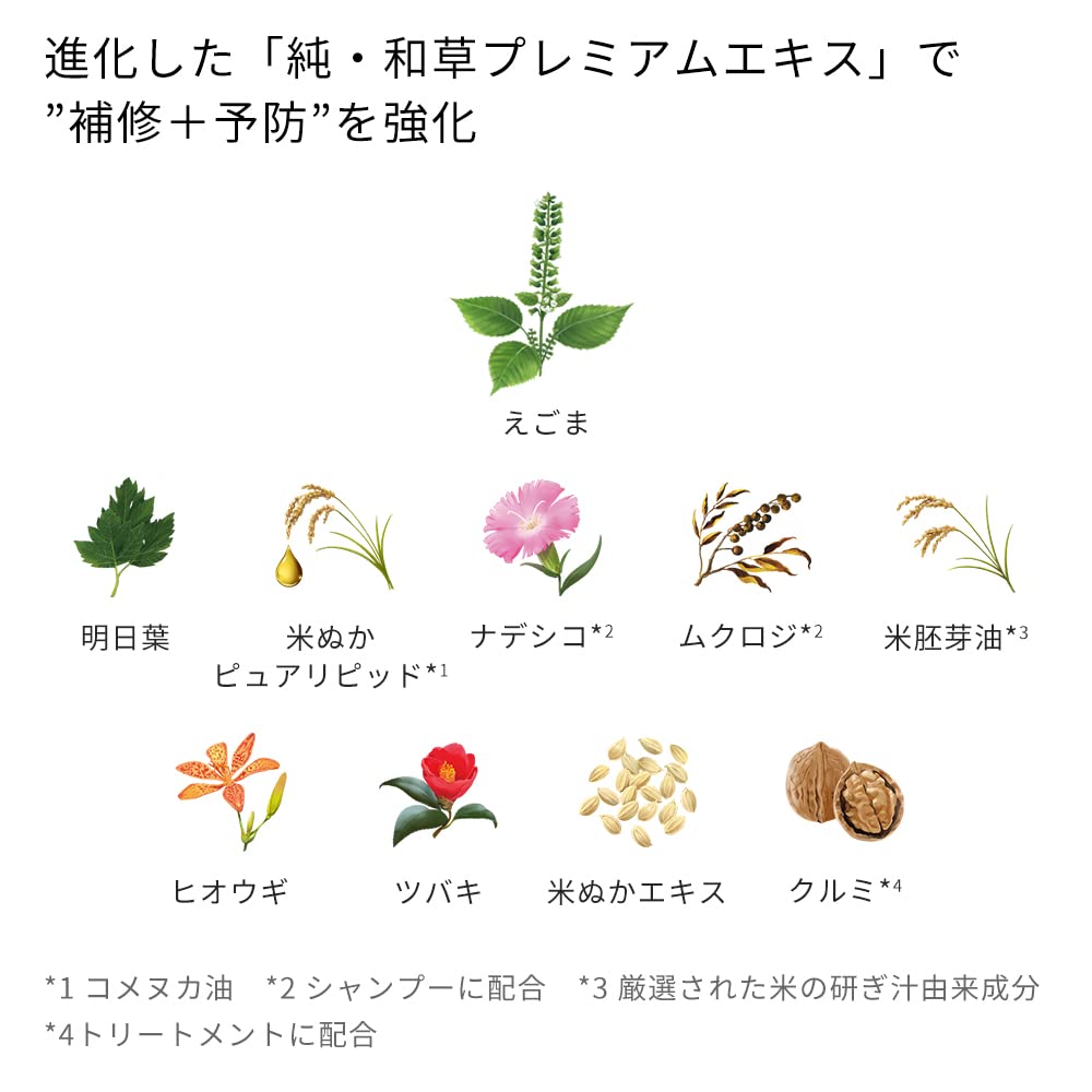 Шампунь Ichikami Color Care & Base Treatment 330 мл Refill Несмываемая Стойкость цвета, фото №5 Шампунь Ichikami Color Care & Base Treatment 330 мл Refill Несмываемая Стойкость цвета, фото №5