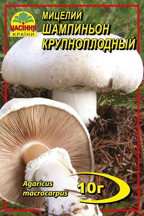 Шампиньон крупноплодный 10 г, фото №1