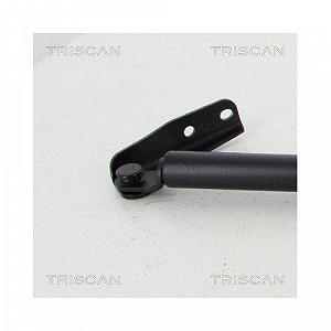 Газова пружина багажника TRISCAN 8710 14258 для NISSAN, ззаду справа synthetic.ua - Фото 1