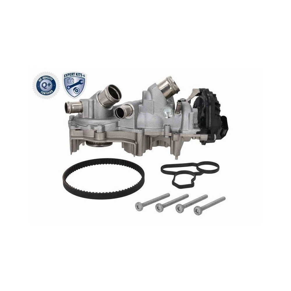 Комплект ГРМ с водяным насосом VAICO EXPERT KITS + V10-50114 для AUDI SEAT SKODA, фото №1