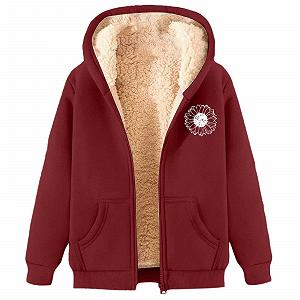 Женский флисовый пуловер GFPGNDFHG, плюшевое пальто Teddy, большой размер, осенне-зимняя куртка-пуловер на 1/4 молнии, зимняя теплая флисовая куртка, теплая плюшевая куртка с длинным рукавом свободного кроя - Фото 1