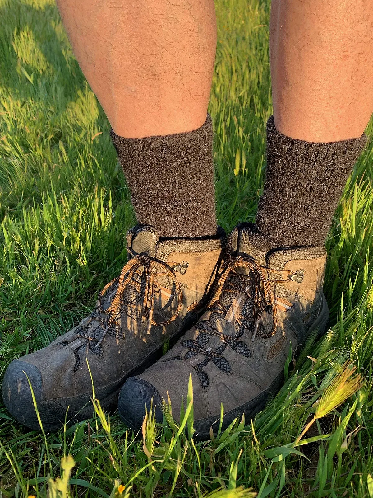 Шкарпетки WARRIOR ALPACA SOCKS Toasty Toes Ultimate Alpaca для жінок та чоловіків, фото №6