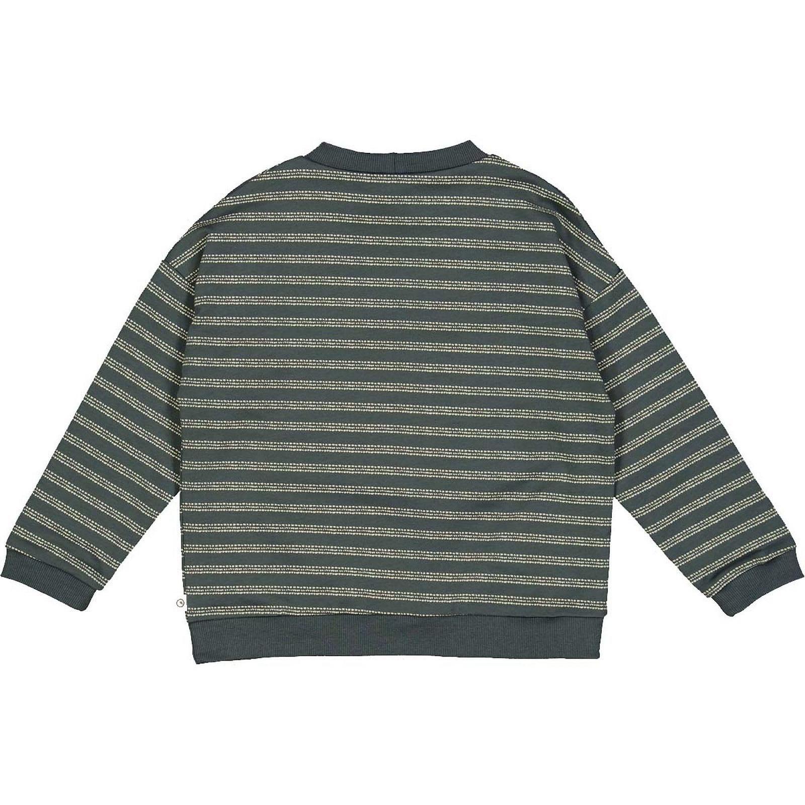 Футболка Müsli Jungen Stripe, фото №2