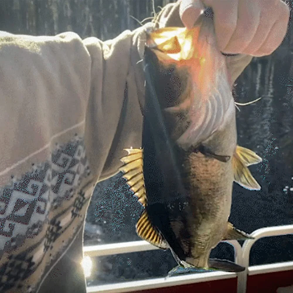 Набір для виживання BATTLBOX для риболовлі, кінцівки, автоматичне рибальське спорядження, 2 шт., для кемпінгу, бушкрафту, легкий, компактний, простий у використанні, фото №6