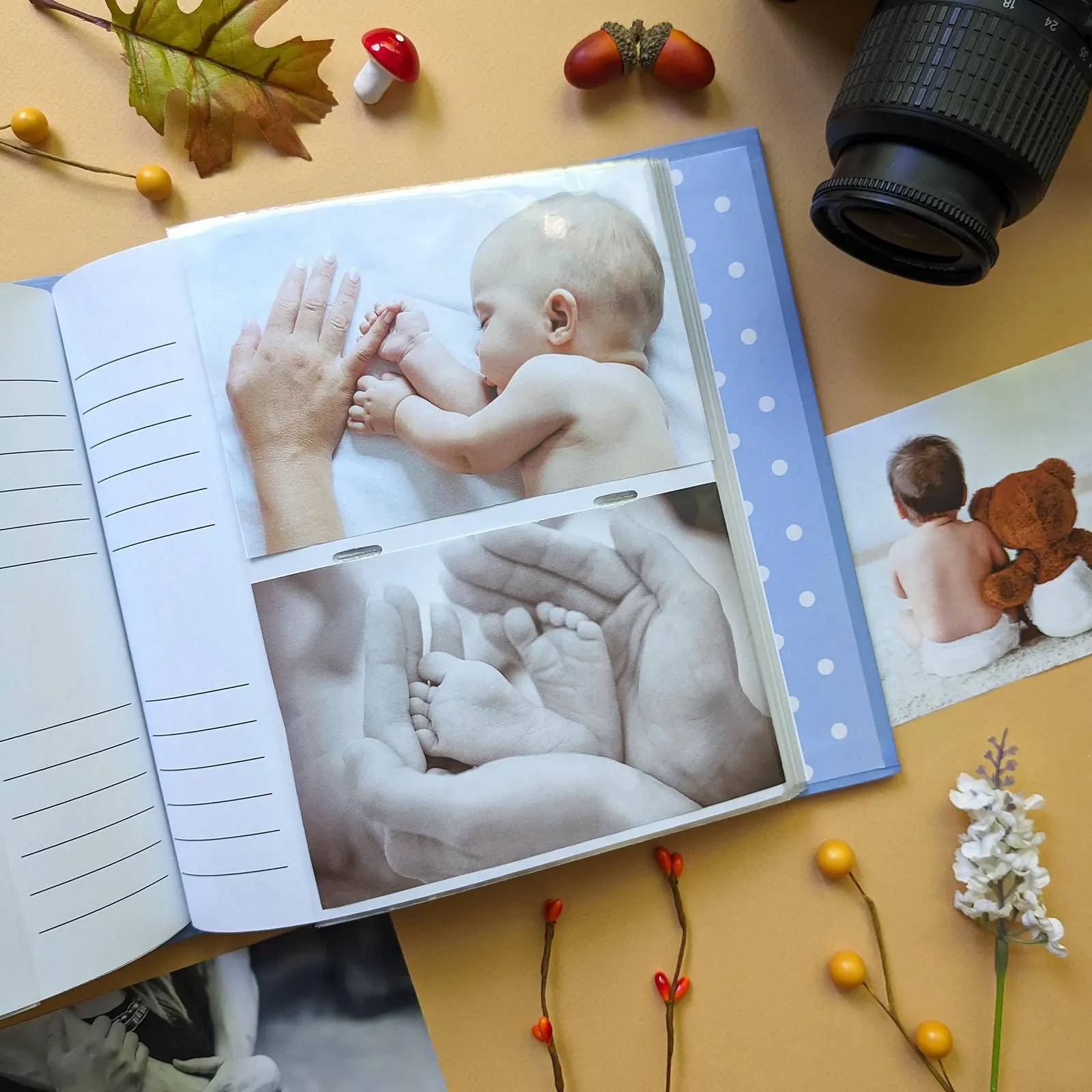 Фотоальбом Peter Rabbit Лесной пикник, фото №4 Фотоальбом Peter Rabbit Лесной пикник, фото №4