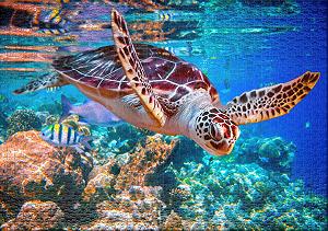 Пазл Ulmer Puzzleschmiede Sea Turtle 2000 элементов Морская черепаха synthetic.ua - Фото 1