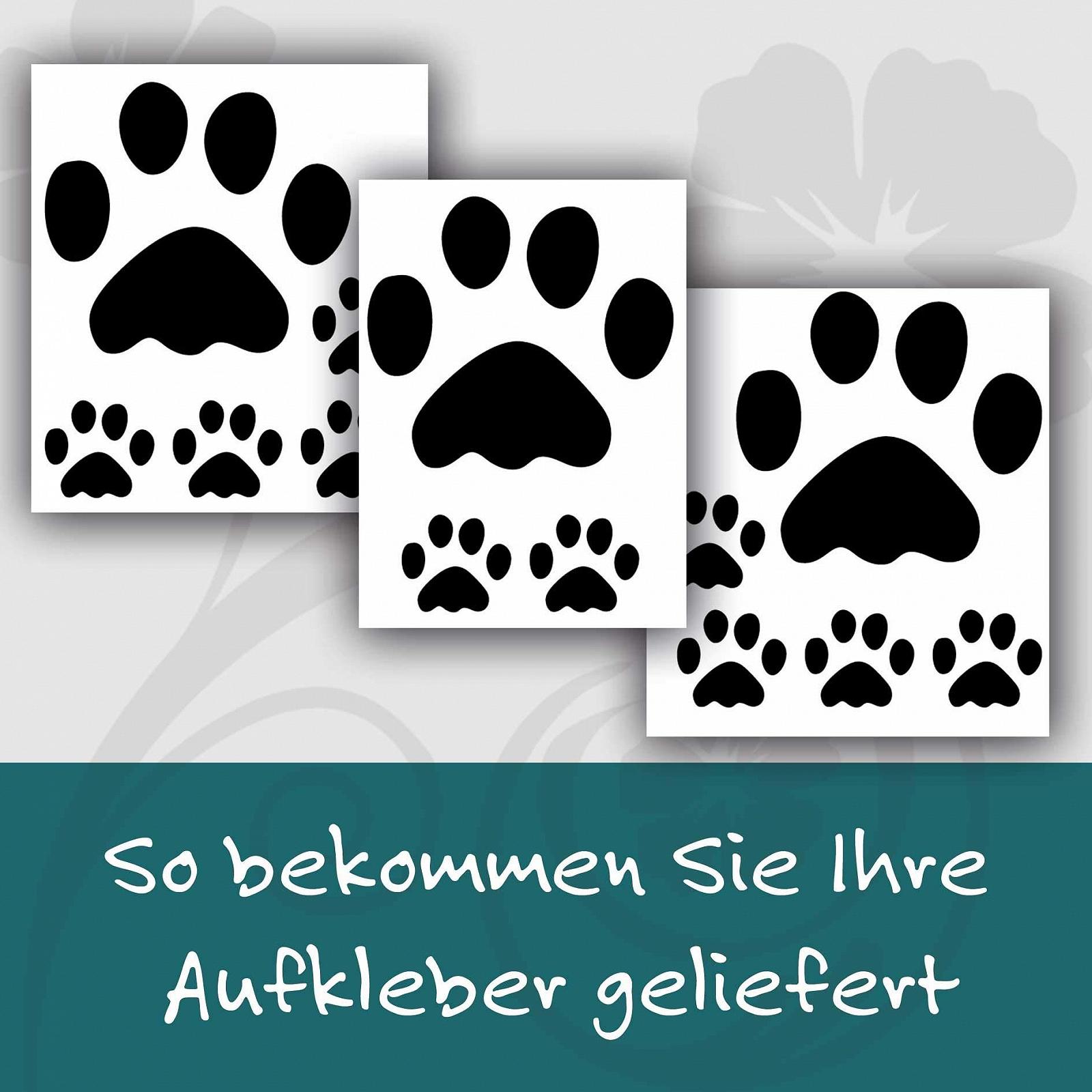 Наклейка на стіну Klebe-Drauf 13 Лап, фото №4