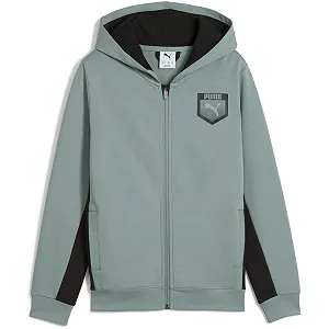 Толстовка PUMA Active Sports Graphic Hoodie Full-Zip Tr B (1 шт. в упаковке) - Фото 1