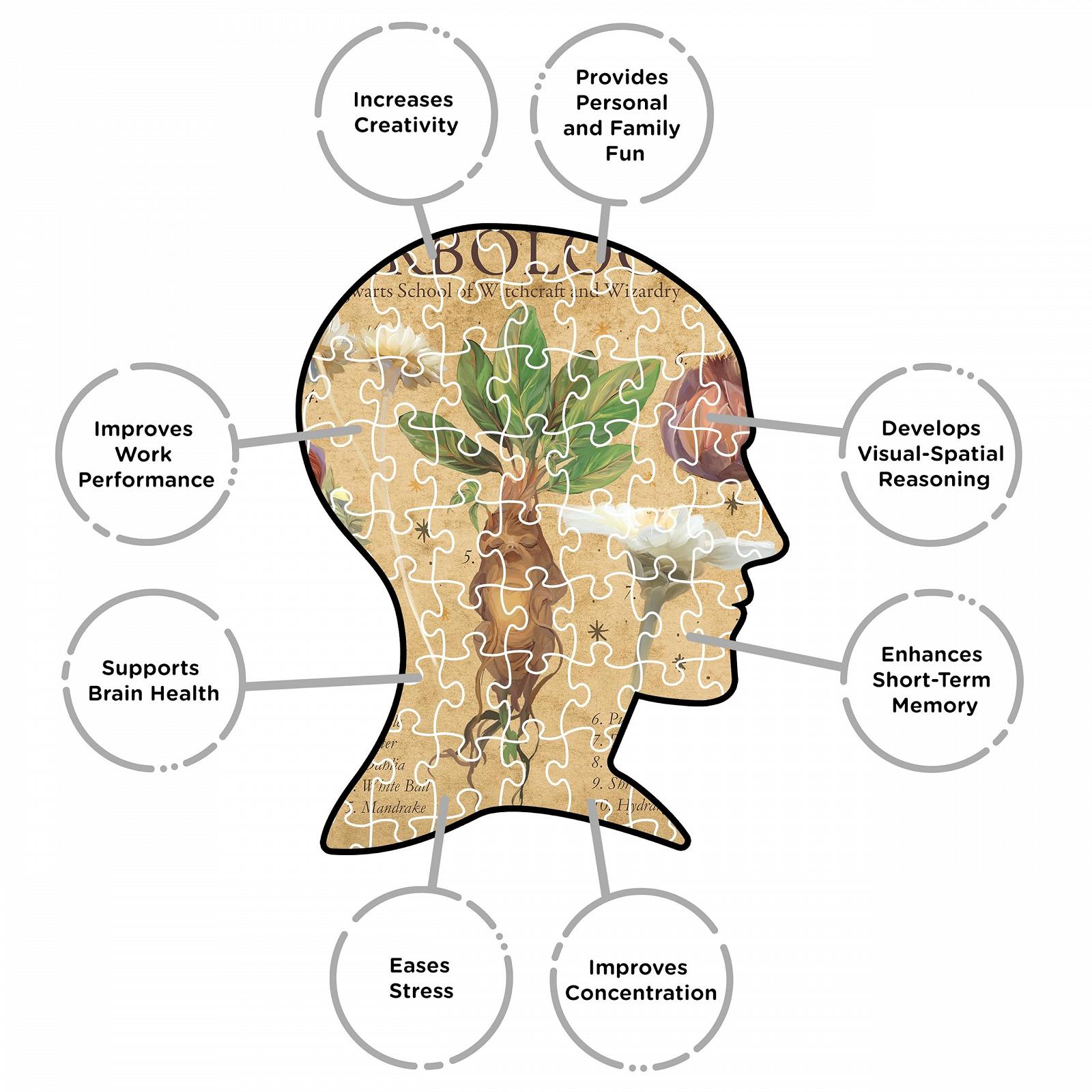 Пазл AQUARIUS Harry Potter Herbology 1000 деталей 20 x 28 дюймов, фото №6