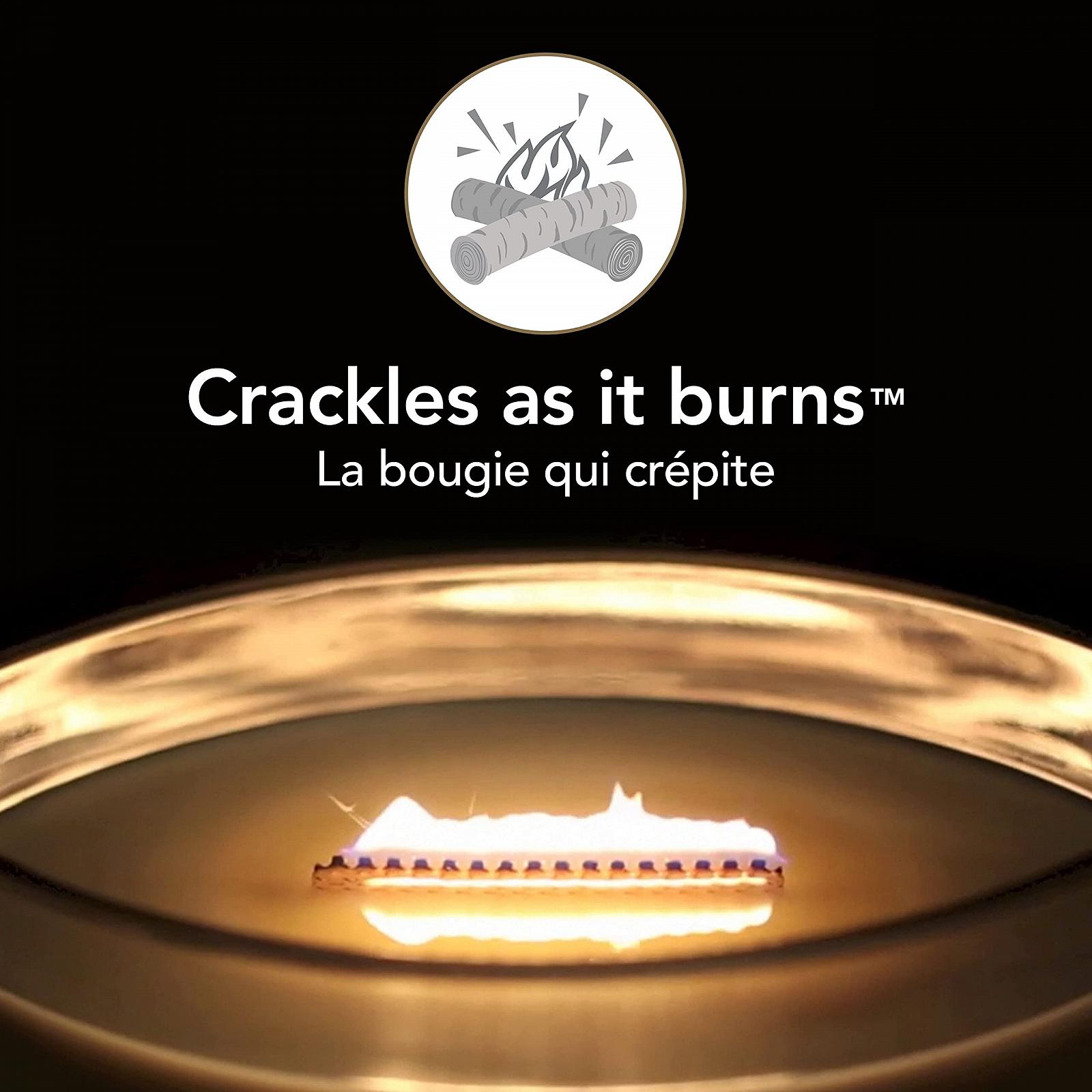 Свеча WoodWick Ароматическая с трещащим фитилем Эллиптическая Прессованные цветы и пачули, фото №3