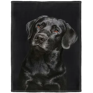 Одеяло Zomer Мягкое Пушистое 150 x 200 см Микрофибра Плед Покрывало Мягкое Теплое Диванное одеяло с мотивом Лабрадора Черное - Фото 1