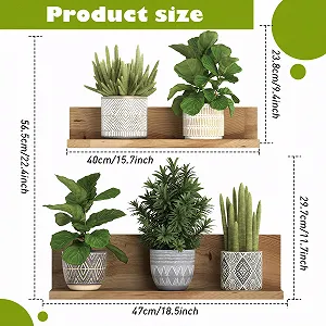 Наклейка на стіну Рослини 3D Кактус Квіти Бонсай Ваза Самоклейна 3 шт. synthetic.ua - Фото 1