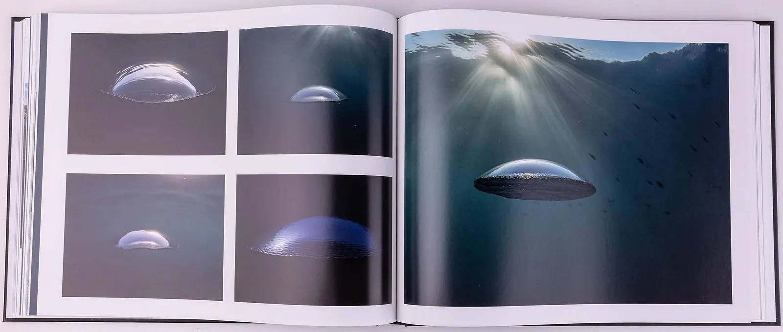 Фотоальбом CRESSI Без Пола Взрослый Blue/White, 200 страниц, фото №5 Фотоальбом CRESSI Без Пола Взрослый Blue/White, 200 страниц, фото №5