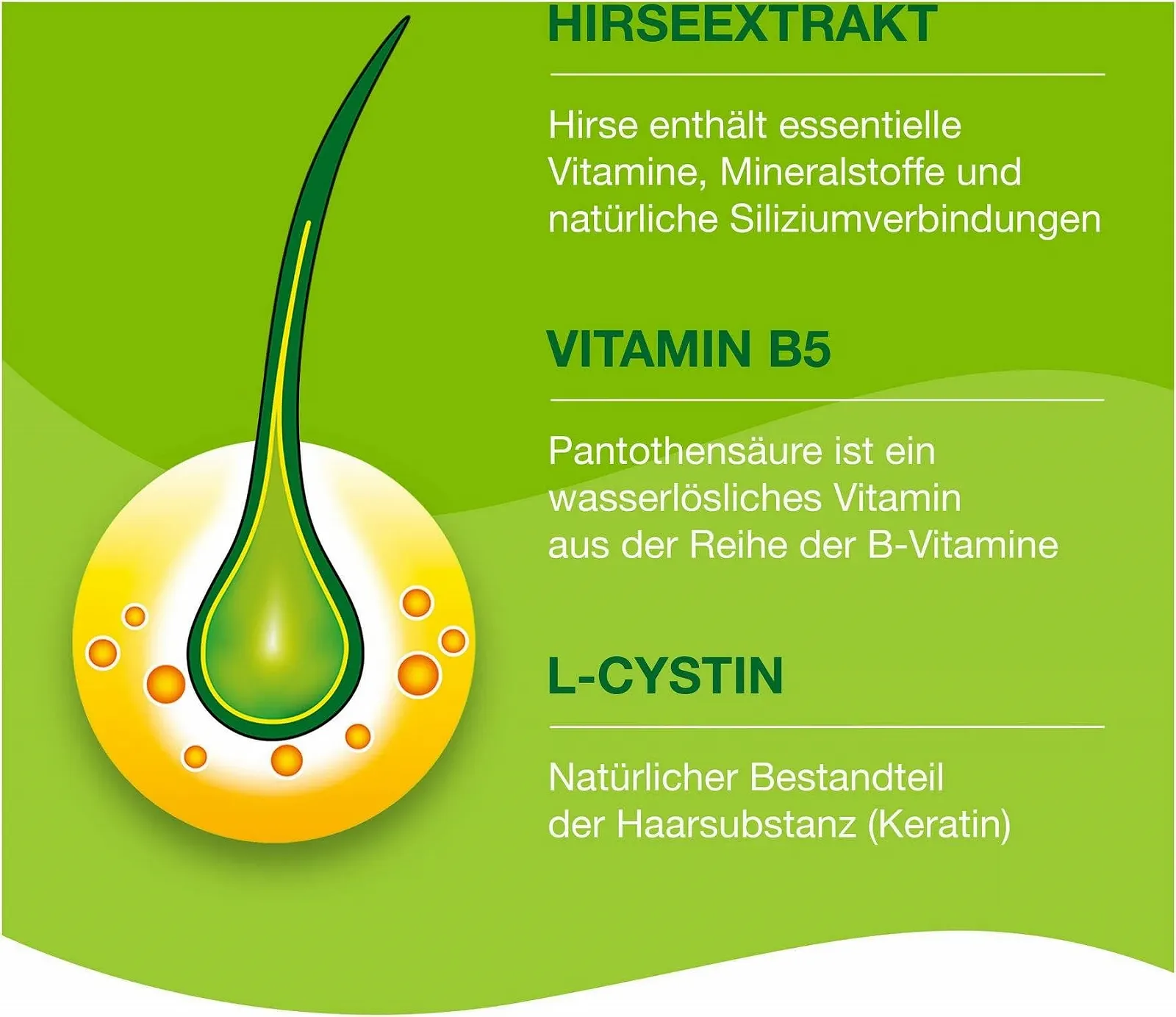 Капсули PRIORlN 3 x 120 Капсул для волосся з поживними речовинами - при гормональному спадковому випадінні волосся та розладах росту волосся, фото №4