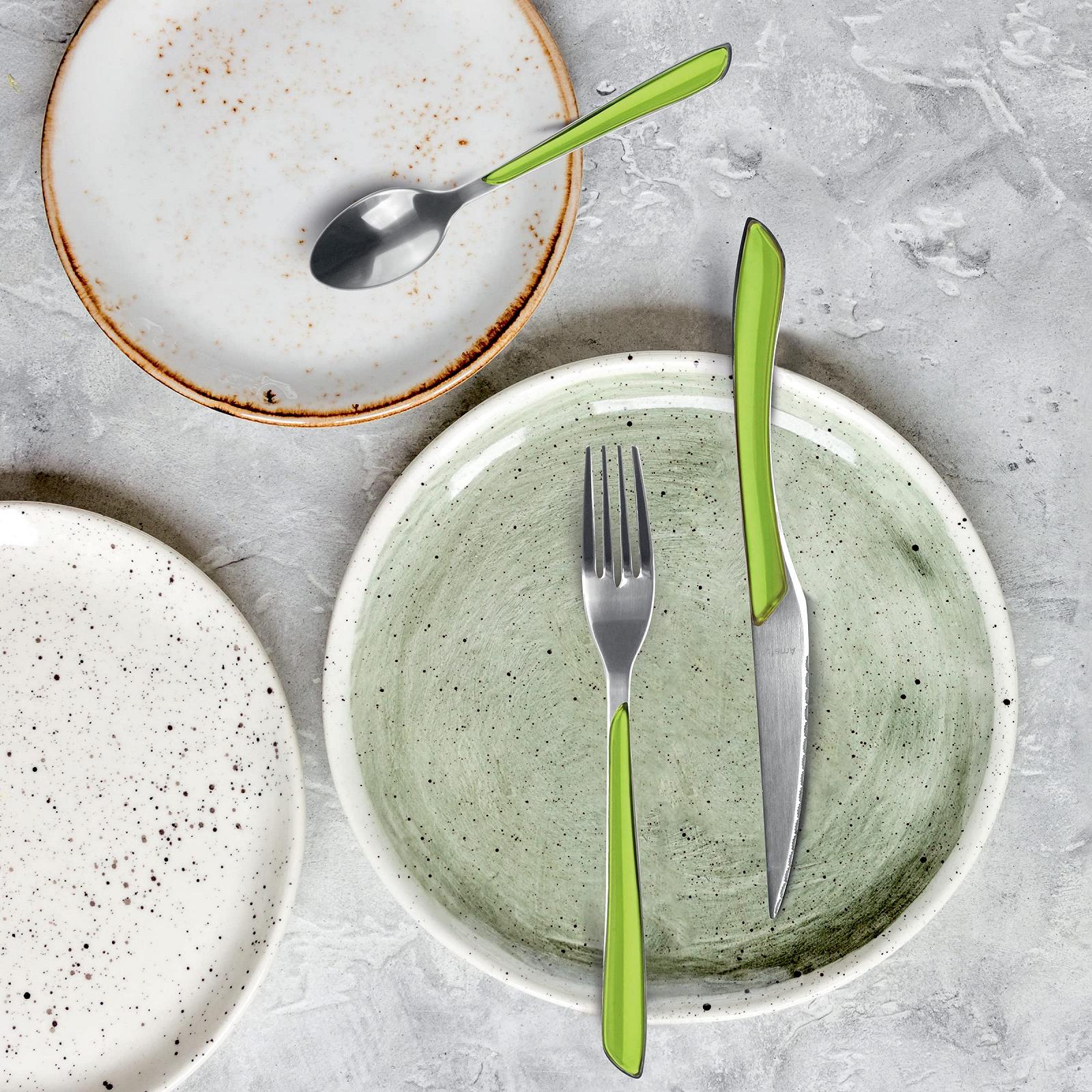 Набор столовых приборов Amefa ECLAT, 24 предмета, на 6 персон, пластиковые ручки пастельно-зеленого цвета, фото №5 Набор столовых приборов Amefa ECLAT, 24 предмета, на 6 персон, пластиковые ручки пастельно-зеленого цвета, фото №5