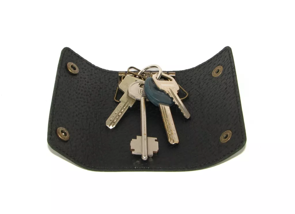 Ключочка DNK Leather Keys-S col C, фото №3