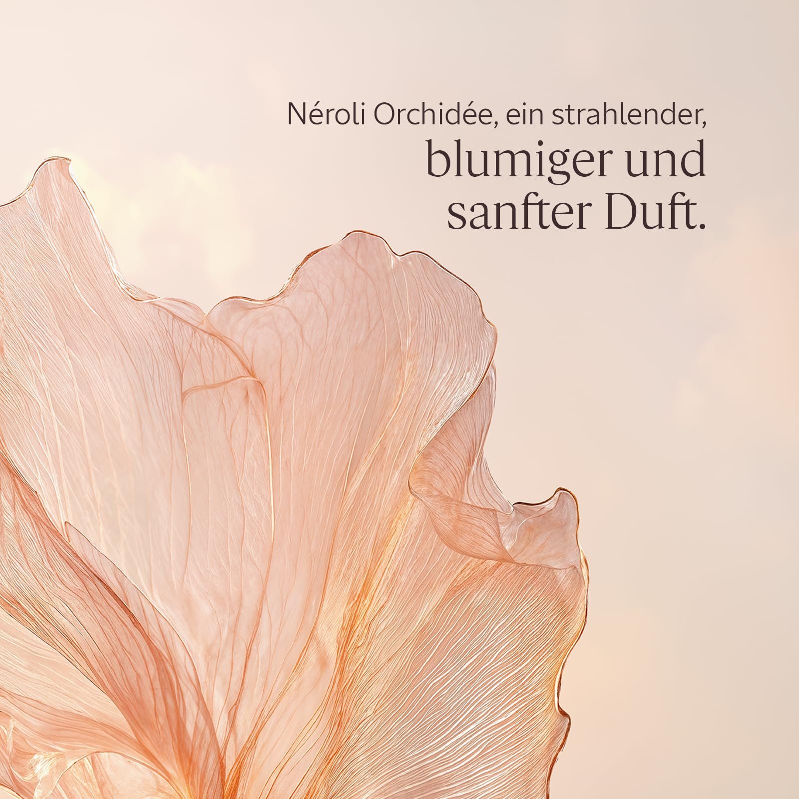 Парфюмированный гель для душа L'OCCITANE Néroli Orchidée Сделано во Франции, фото №3