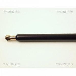 Газова пружина багажника TRISCAN 8710 29201 для AUDI synthetic.ua - Фото 1