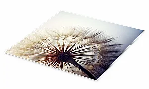 Постер Large Dandelion 60 х 60 см synthetic.ua - Фото 1